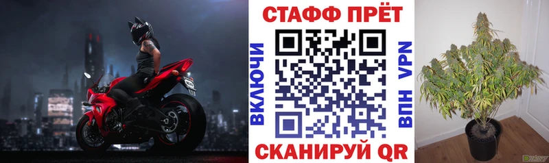 Купить наркотик аптеки Пошехонье ГАШ Каннабис гидра онион Меф мяу мяу