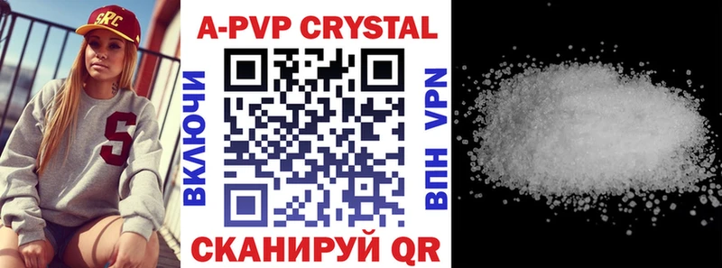 Alfa_PVP СК  Пошехонье 