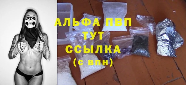 стафф Арсеньев