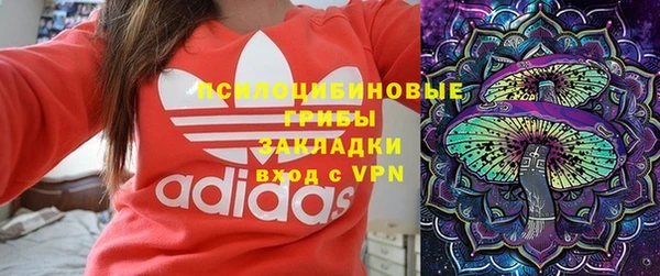 стафф Арсеньев