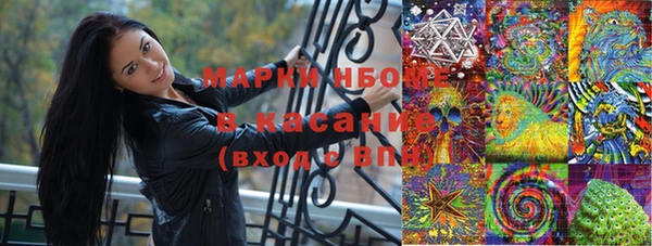 стафф Арсеньев