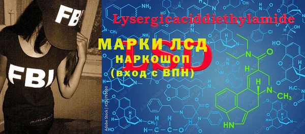 стафф Арсеньев