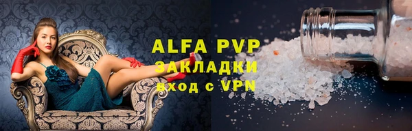 стафф Арсеньев