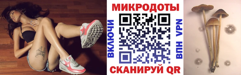 наркотики  Пошехонье  Псилоцибиновые грибы мицелий 
